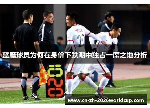 蓝鹰球员为何在身价下跌潮中独占一席之地分析